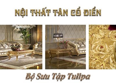 Bộ Sưu Tập Tulipa